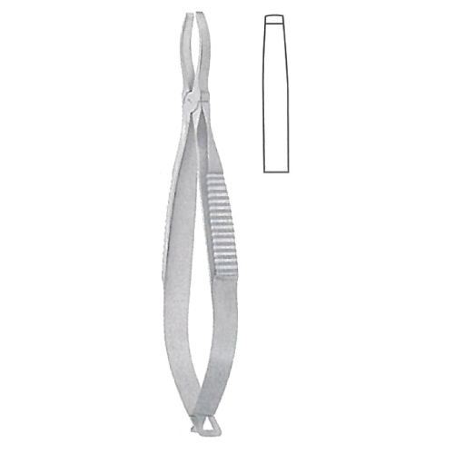 cillia forceps