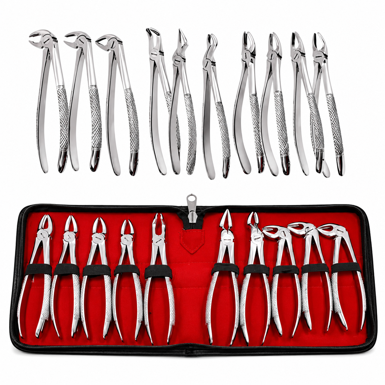 Dental tooth extracting forceps stainless steel