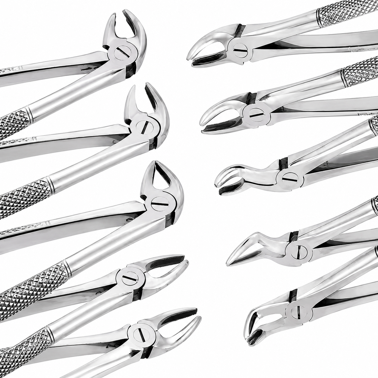 Dental tooth extracting forceps stainless steel