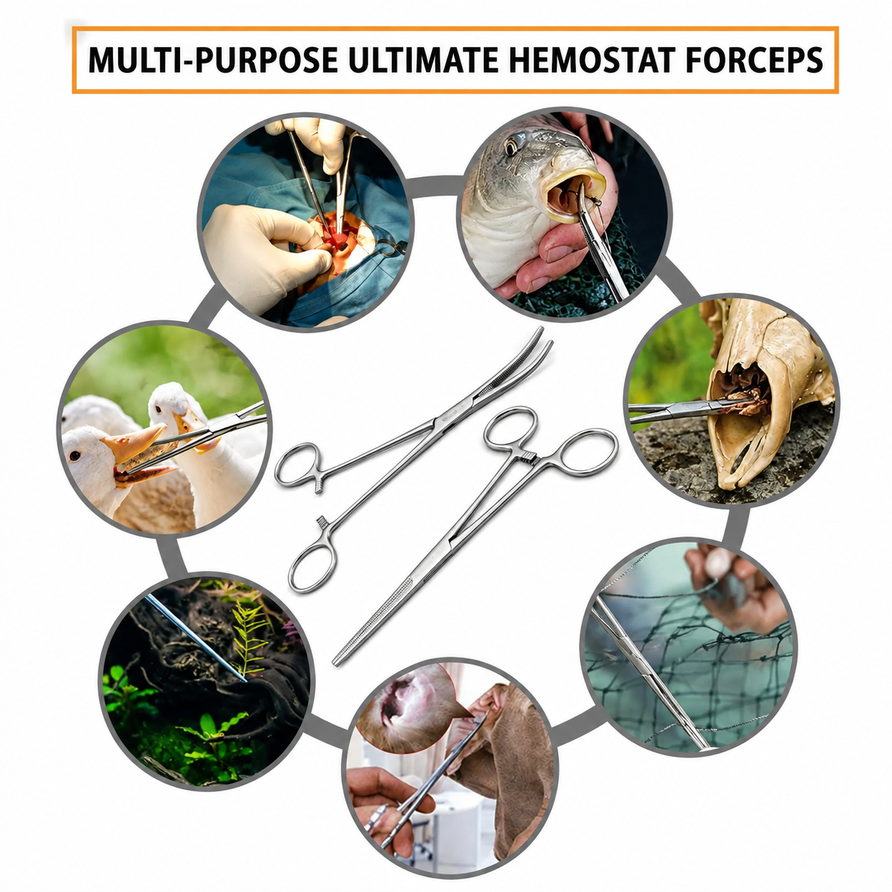 2 Kelly Forceps Set 5.5 inch straight and curved made from medical-grade stainless steel