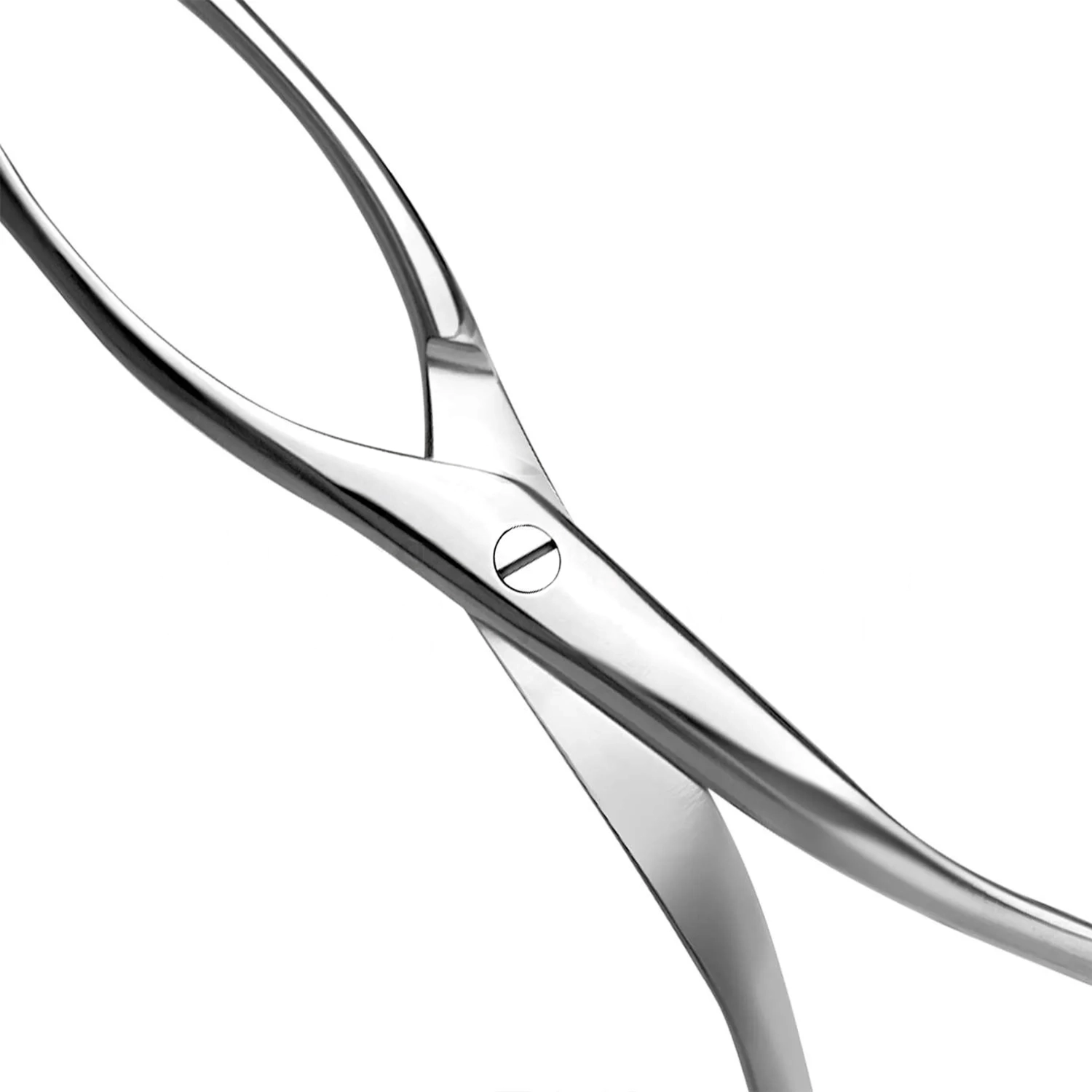 Collins Tongue Seizing Forceps 6.75 inch 17.1 cm with 25 mm wide jaws stainless steel ENT instrument