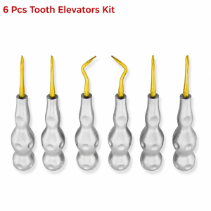6pcs Dental Twist Point Root Elevators Set